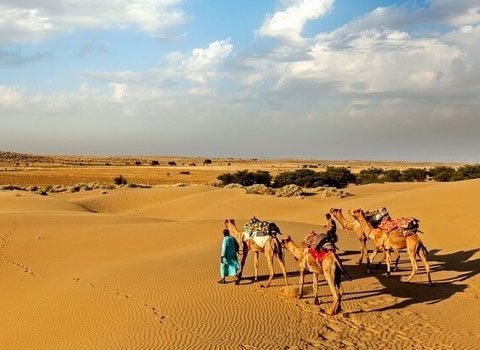 Best Holiday Packages in India 