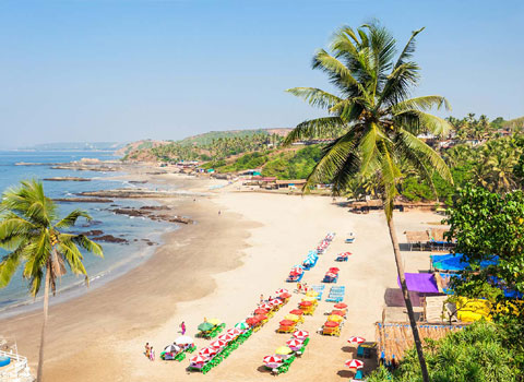 Best Holiday Packages in India 